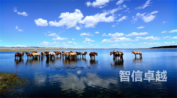 內(nèi)蒙古石油英語(yǔ)翻譯公司(專業(yè)石油化工英語(yǔ)翻譯) 內(nèi)蒙古石油英語(yǔ)翻譯公司(專業(yè)石油化工英語(yǔ)翻譯)