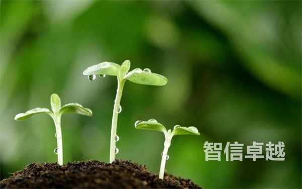 翻譯公司哪家好-專業(yè)的翻譯公司翻譯流程 翻譯公司哪家好-專業(yè)的翻譯公司翻譯流程