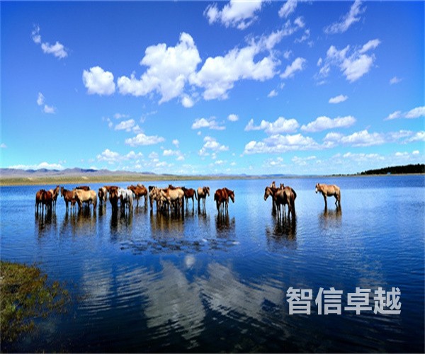 四川翻譯公司排名-商務(wù)英語翻譯排名靠前的公司