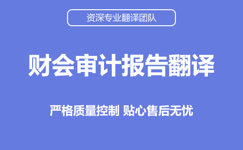 成都專業(yè)審計報告翻譯